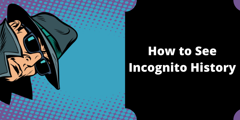 How to See Incognito History in 2022?